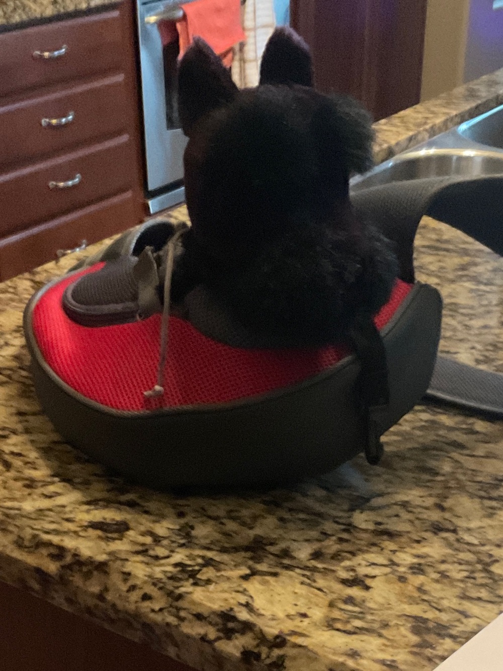 Pet Carrier Sling in Red and Black - Comfortable Small Pet Travel Pouch